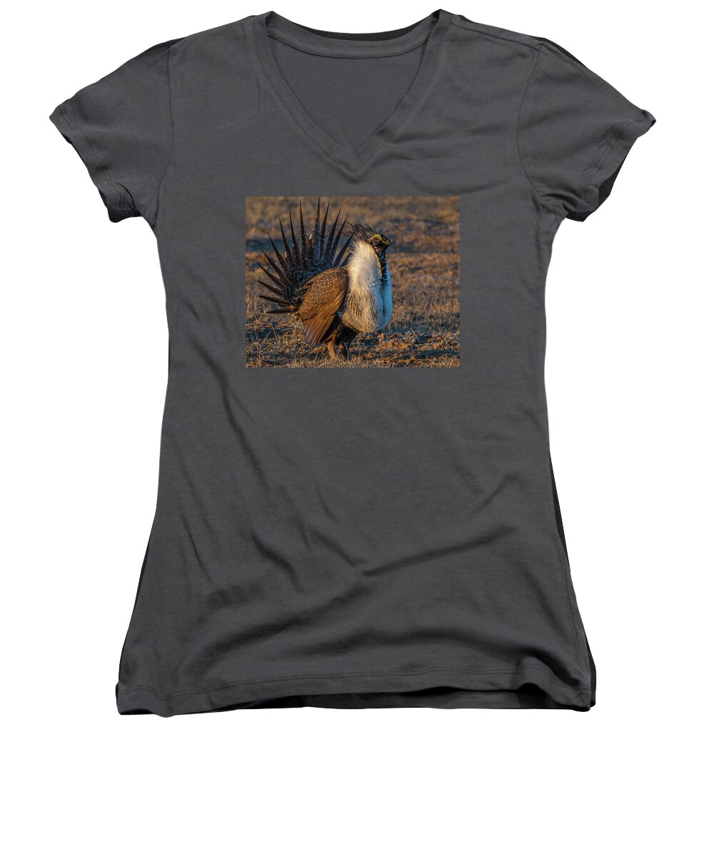 Sage Grouse Women's V-Neck featuring the photograph Feels Like Dancing by Yeates Photography