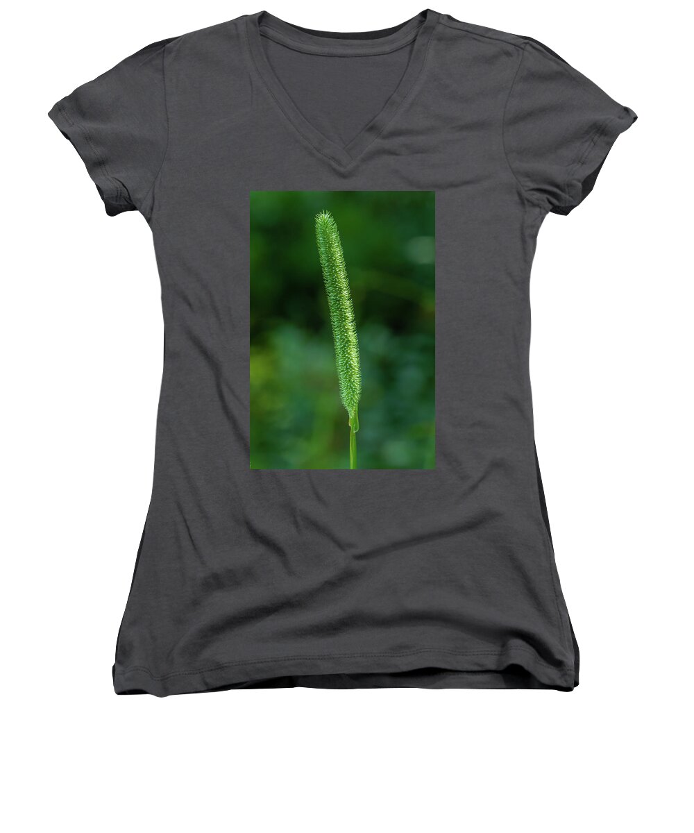 Beautiful Women's V-Neck featuring the photograph Flowering head of a grass by SAURAVphoto Online Store