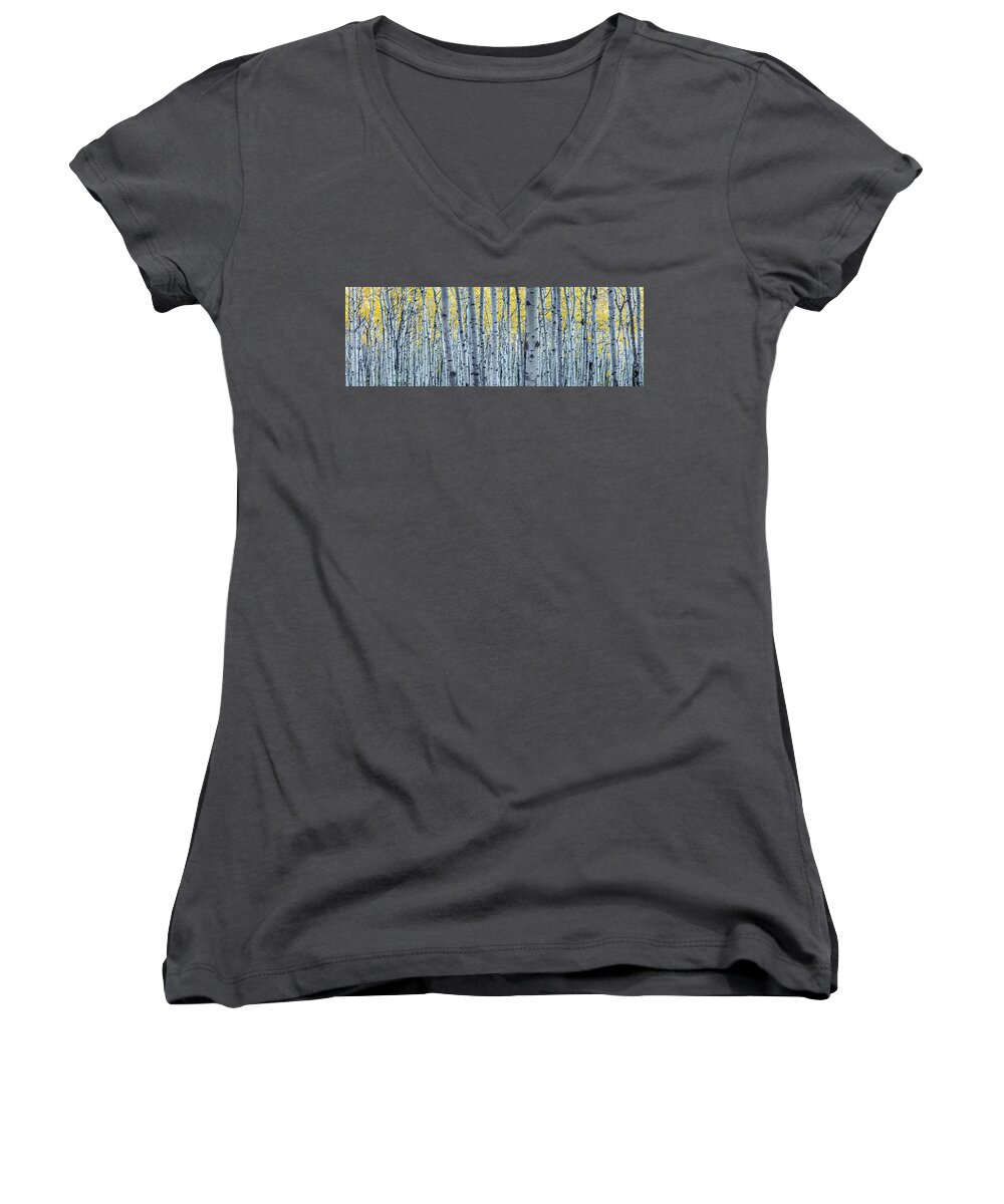 Aspen Women's V-Neck featuring the photograph Forest of aspen trees in Autumn by Pierre Leclerc Photography