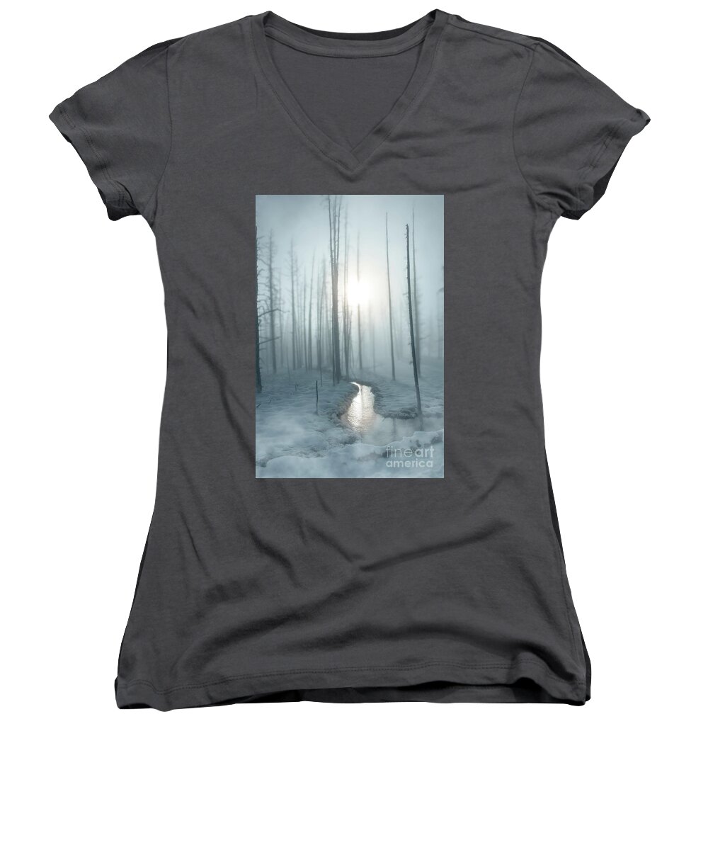 Landscape Women's V-Neck featuring the photograph Frigid Beauty - Yellowstone NP by Sandra Bronstein