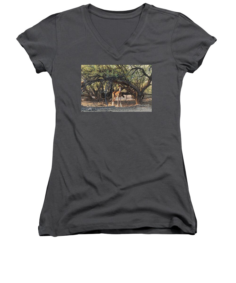 Cute Foal Women's V-Neck featuring the photograph Funny Face by Shannon Hastings