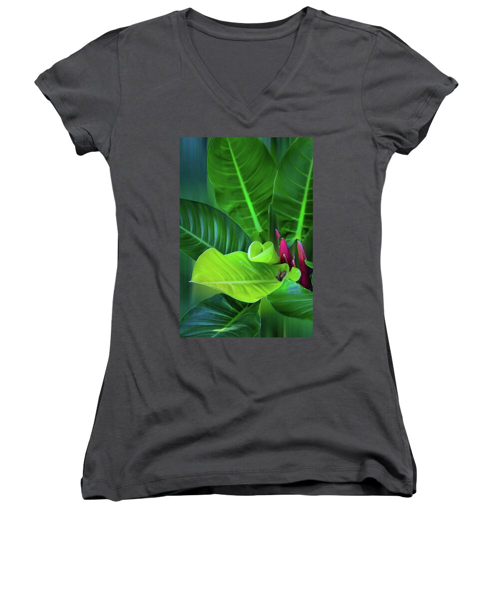Philodendron Women's V-Neck featuring the photograph Garden Botanicals VIII by Debra and Dave Vanderlaan