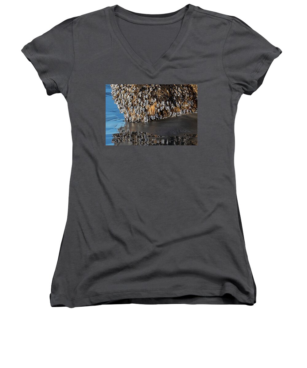 Animals Women's V-Neck featuring the photograph Gooseneck Barnacles in the Surf by Robert Potts