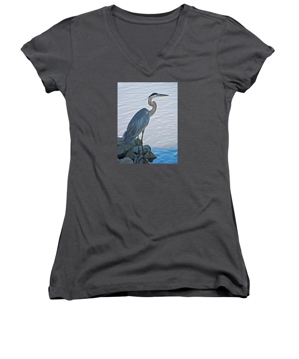 Great Blue Heron Women's V-Neck featuring the photograph Great Blue Heron Portrait by Suzanne Gaff