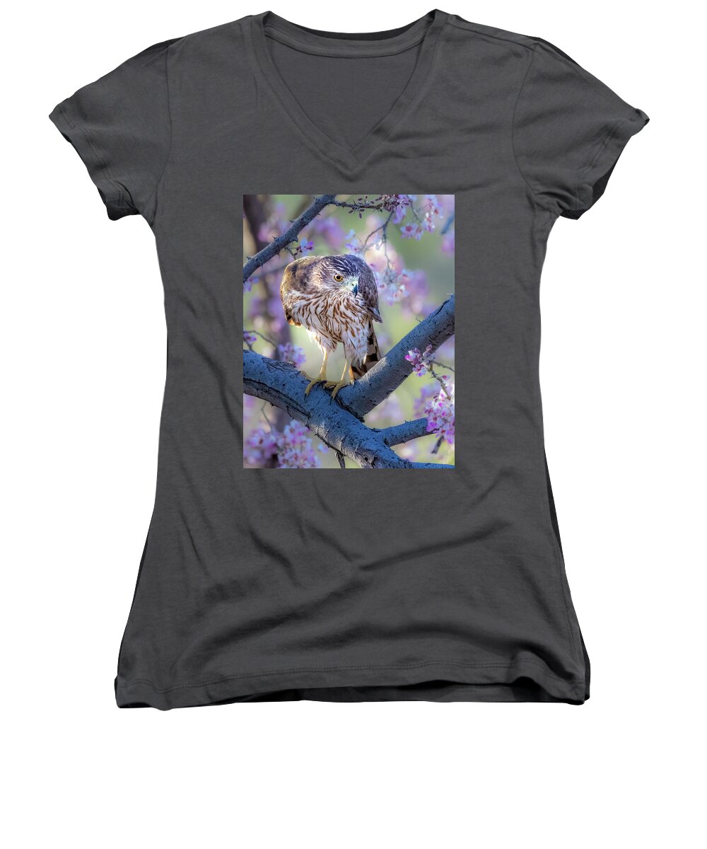 Accipiter Cooperii Women's V-Neck featuring the photograph Hawk Among the Blossoms by James Capo