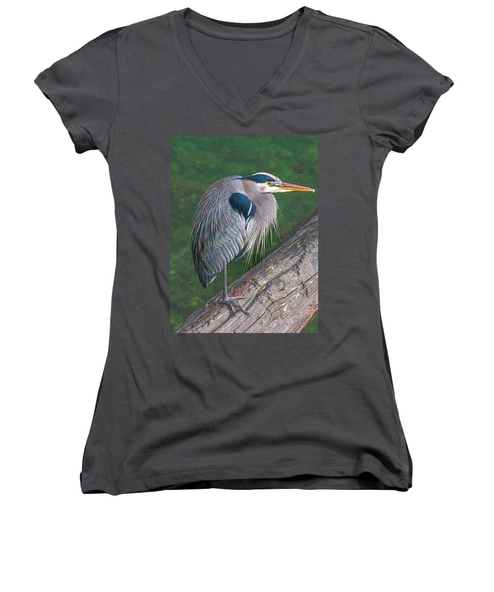 Wildlife Women's V-Neck featuring the photograph Heron On A Log by Claude Dalley