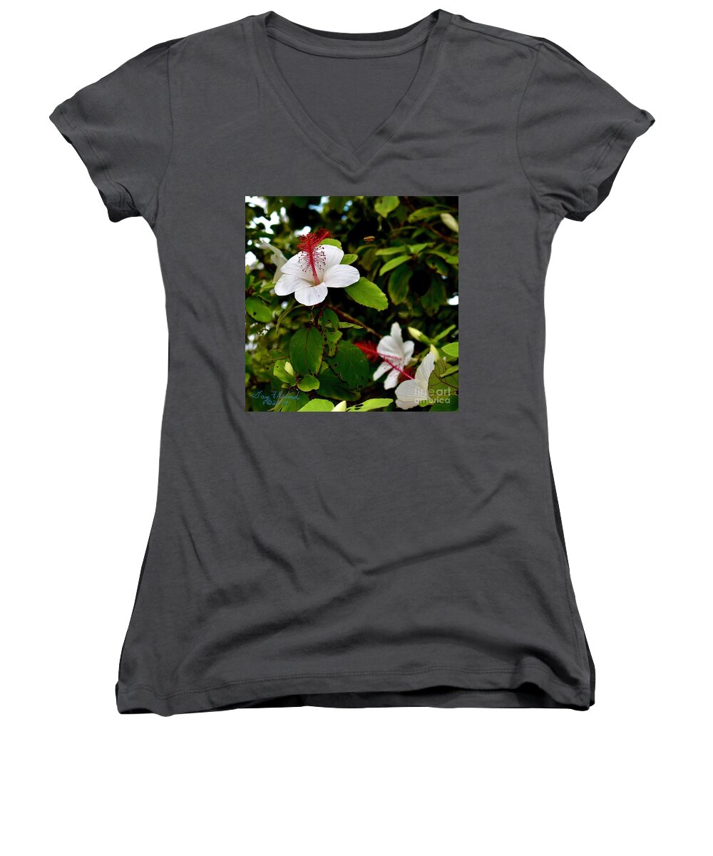 Square Women's V-Neck featuring the photograph Hibiscus and Honey Bee by Gary F Richards