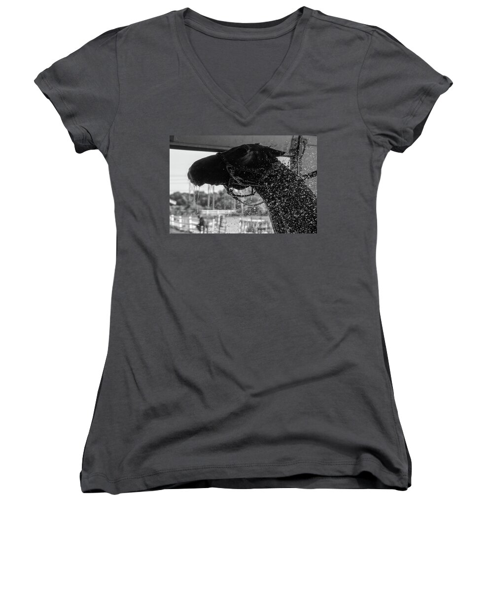 Horse Women's V-Neck featuring the photograph Horse Bath by Christopher Brown