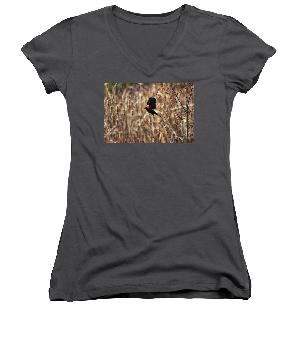 Red-winged Blackbirds Women's V-Neck featuring the photograph I'm Outta Here by Karen Adams