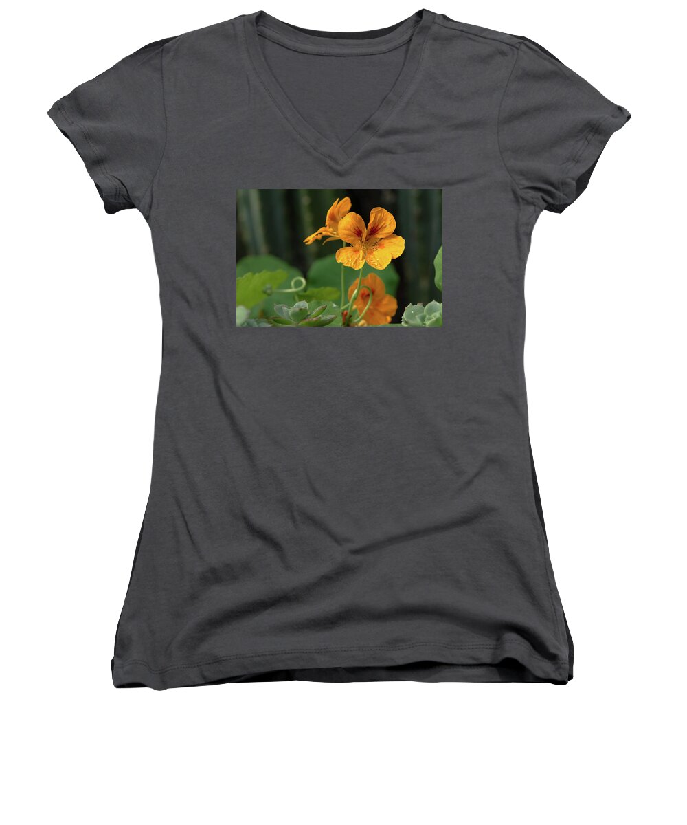 Macro Women's V-Neck featuring the photograph In the Woods by Laura Macky
