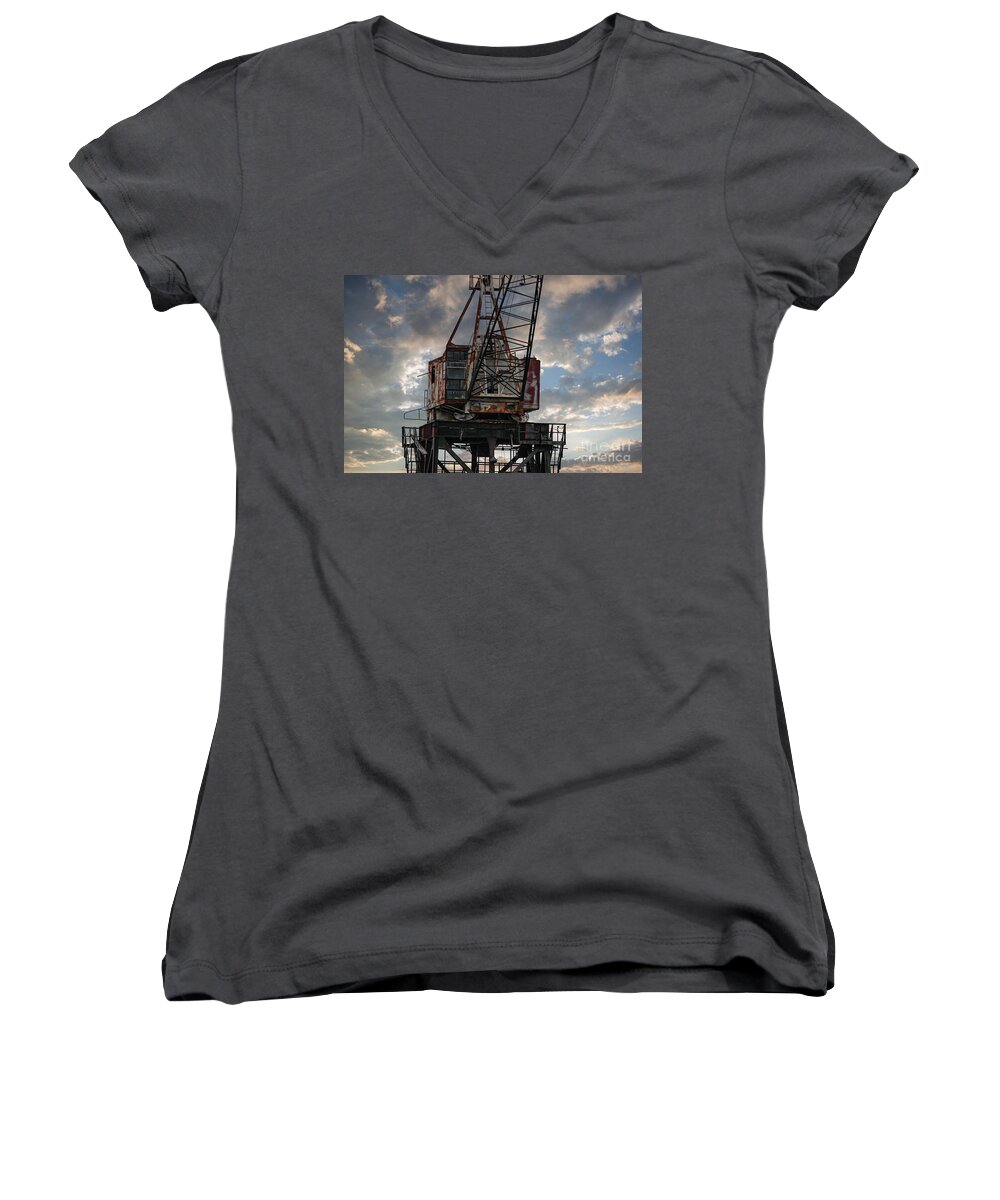 Crane Women's V-Neck featuring the photograph Just Needs Some WD40 by Dale Powell