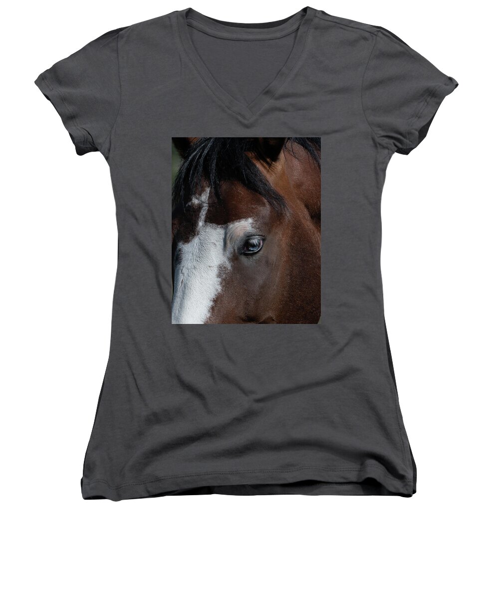 Wild Horses Women's V-Neck featuring the photograph Knowledge by Mary Hone