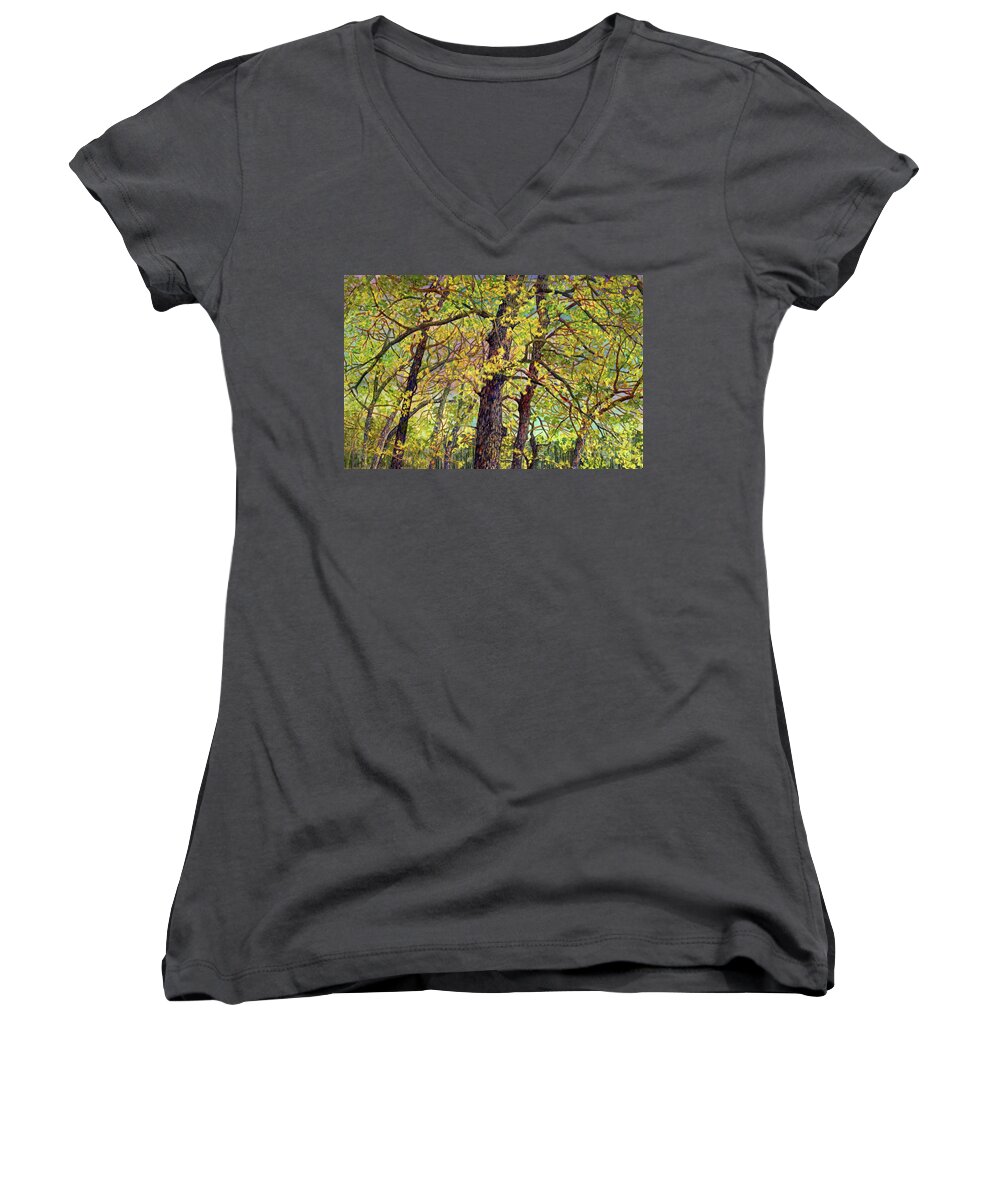 Texas Women's V-Neck featuring the painting Lake Raven in Spring-Budding Leaves by Hailey E Herrera