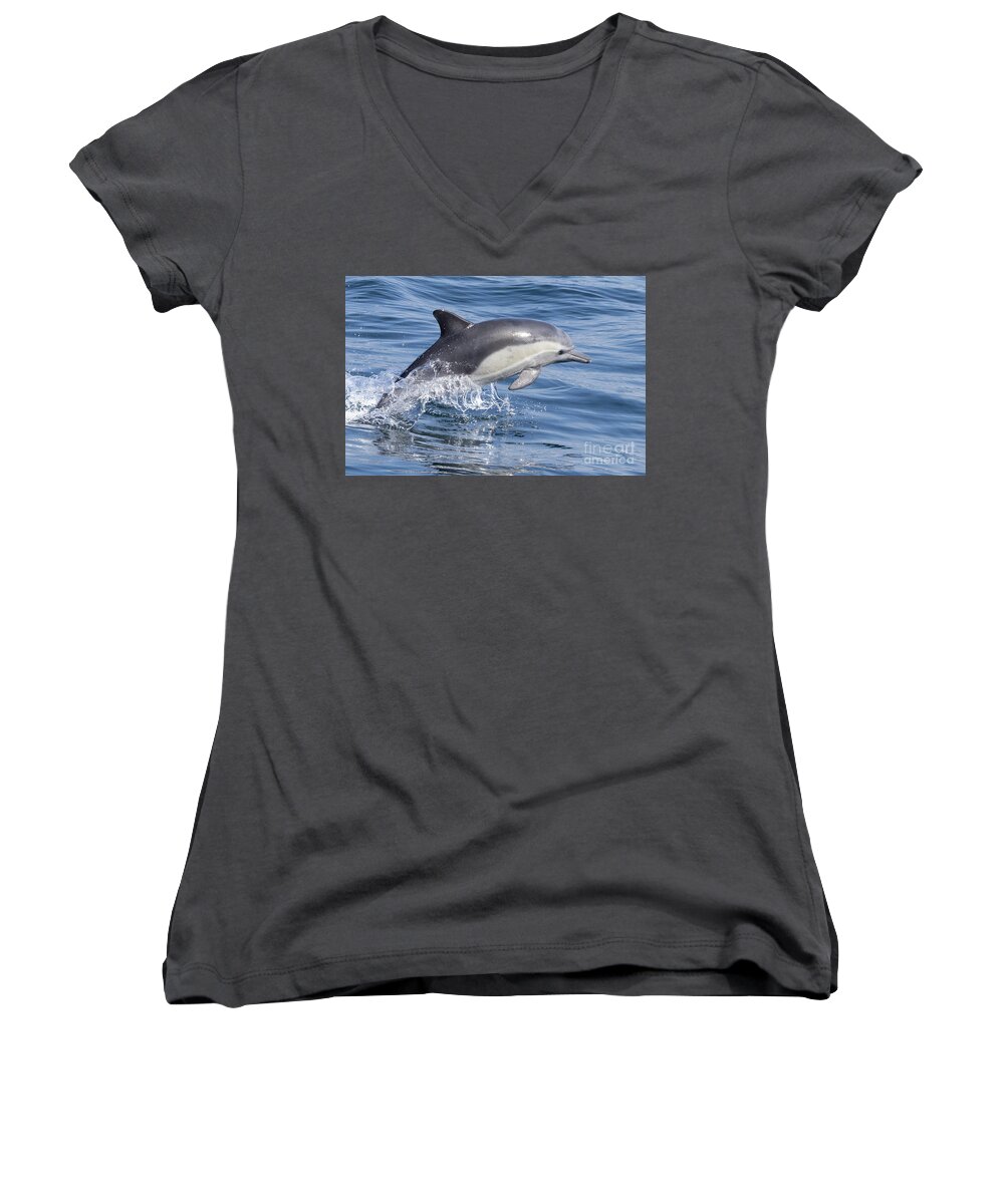 Danawharf Women's V-Neck featuring the photograph Leaping Dolphin by Loriannah Hespe
