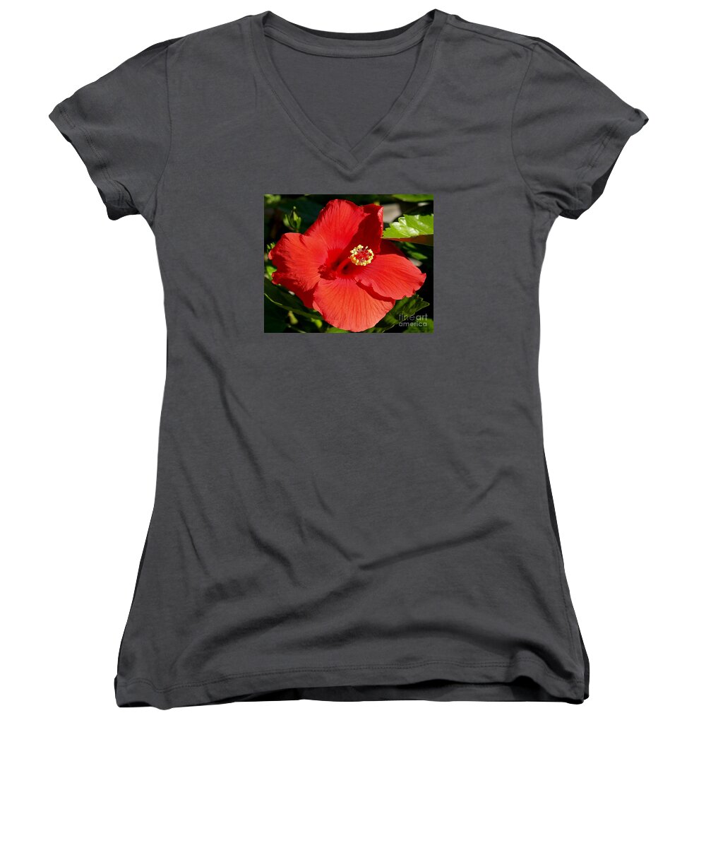 Fine Art Photography Women's V-Neck featuring the photograph Leila by Patricia Griffin Brett