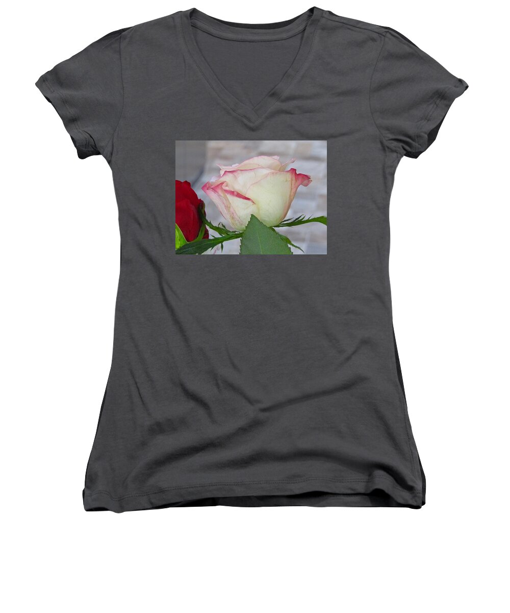 Variegated Rose Women's V-Neck featuring the photograph Mothers Day Rose by Phyllis Kaltenbach