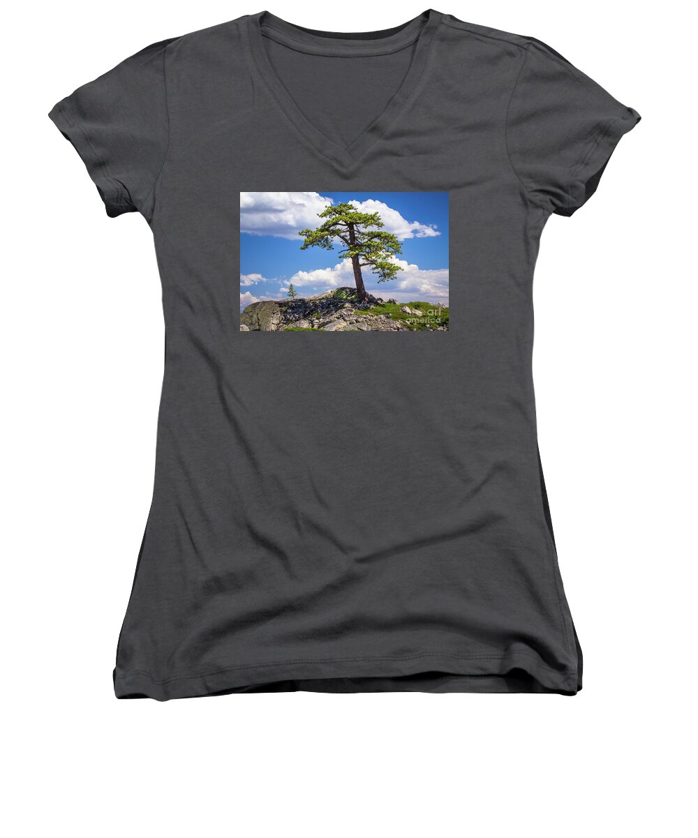  Women's V-Neck featuring the photograph Mountain Top Tree by Vincent Bonafede