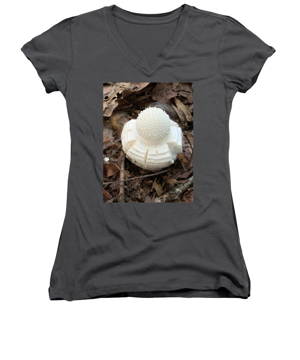 Mushroom Women's V-Neck featuring the photograph Mushroom by Dorothy Maier