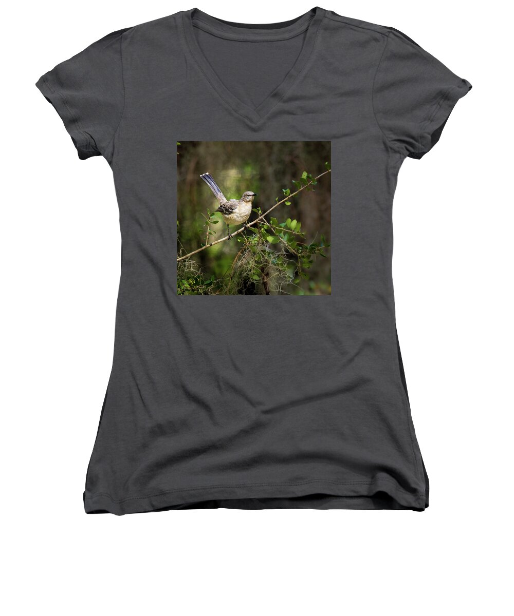 Northern Mockingbird Women's V-Neck featuring the photograph Northern Mockingbird by Morey Gers