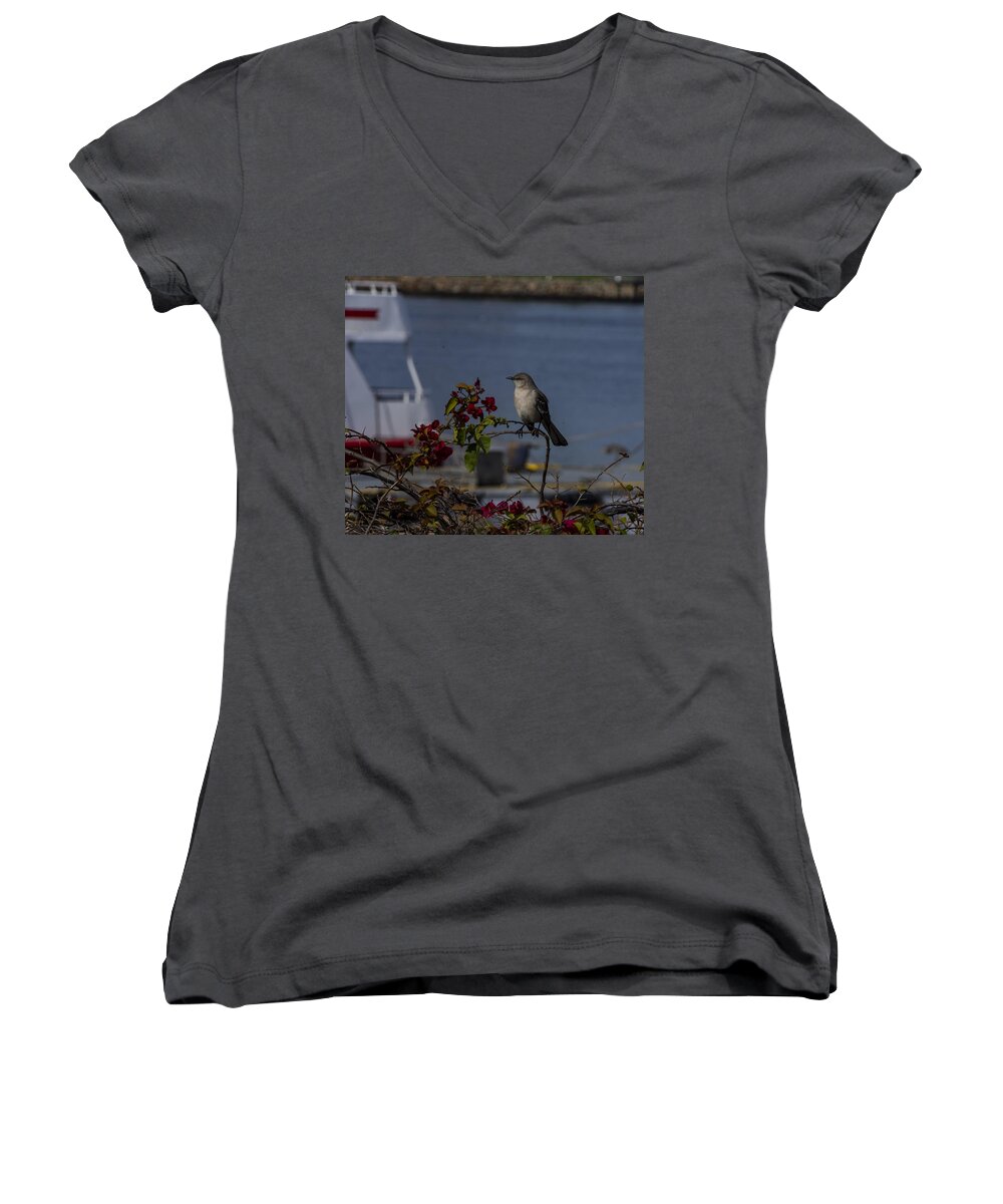 Northern Mockingbird Women's V-Neck featuring the photograph Northern Mockingbird Z4 by Les Classics