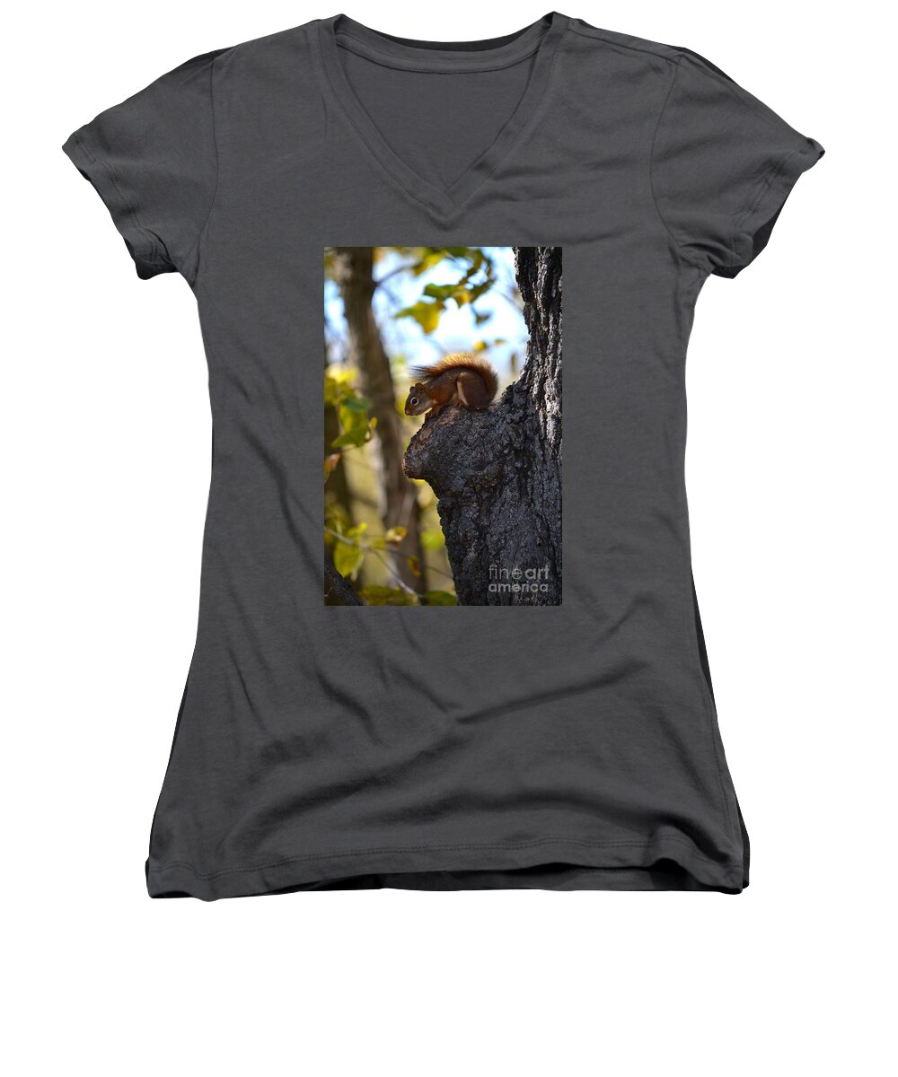 Nature Women's V-Neck featuring the photograph Now What? by Deb Halloran