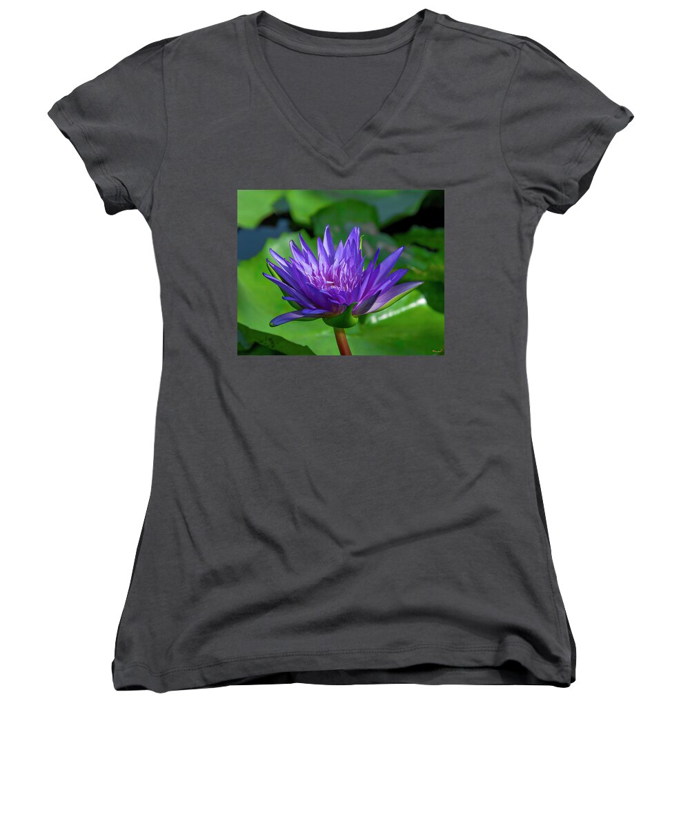 Nature Women's V-Neck featuring the photograph Nymphaea Water Lily DTHN0315 by Gerry Gantt