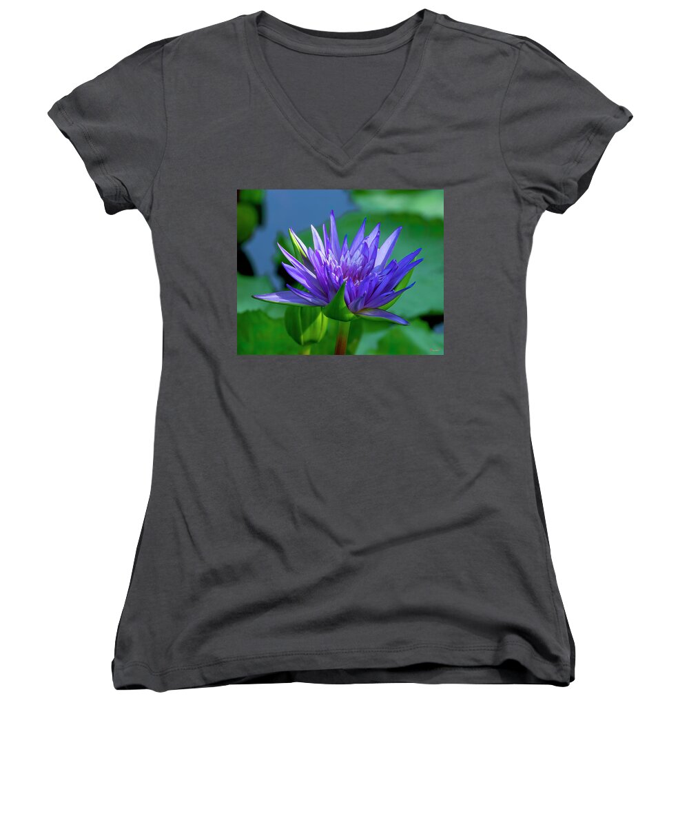 Nature Women's V-Neck featuring the photograph Nymphaea Water Lily DTHN0317 by Gerry Gantt
