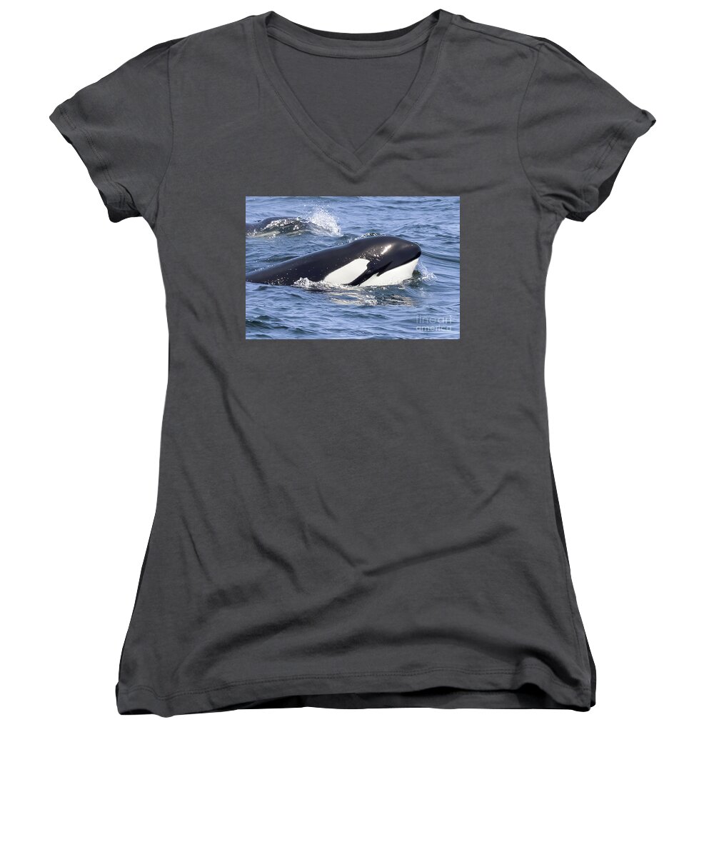  Women's V-Neck featuring the photograph Orca Monterey by Loriannah Hespe