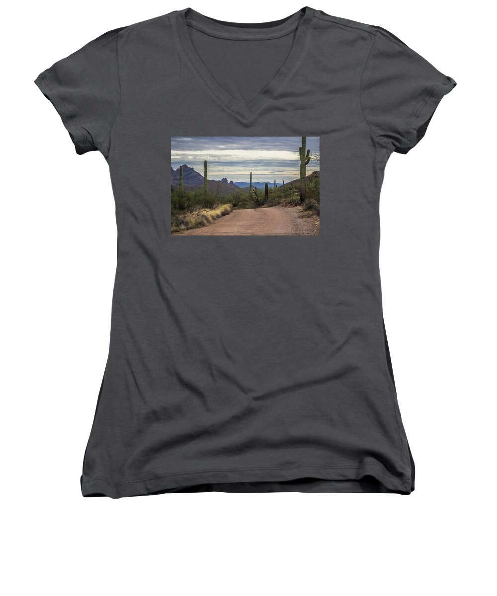 Organ Pipe Cactus National Monument Women's V-Neck featuring the photograph Organ Pipe Cactus National Monument by Elaine Webster