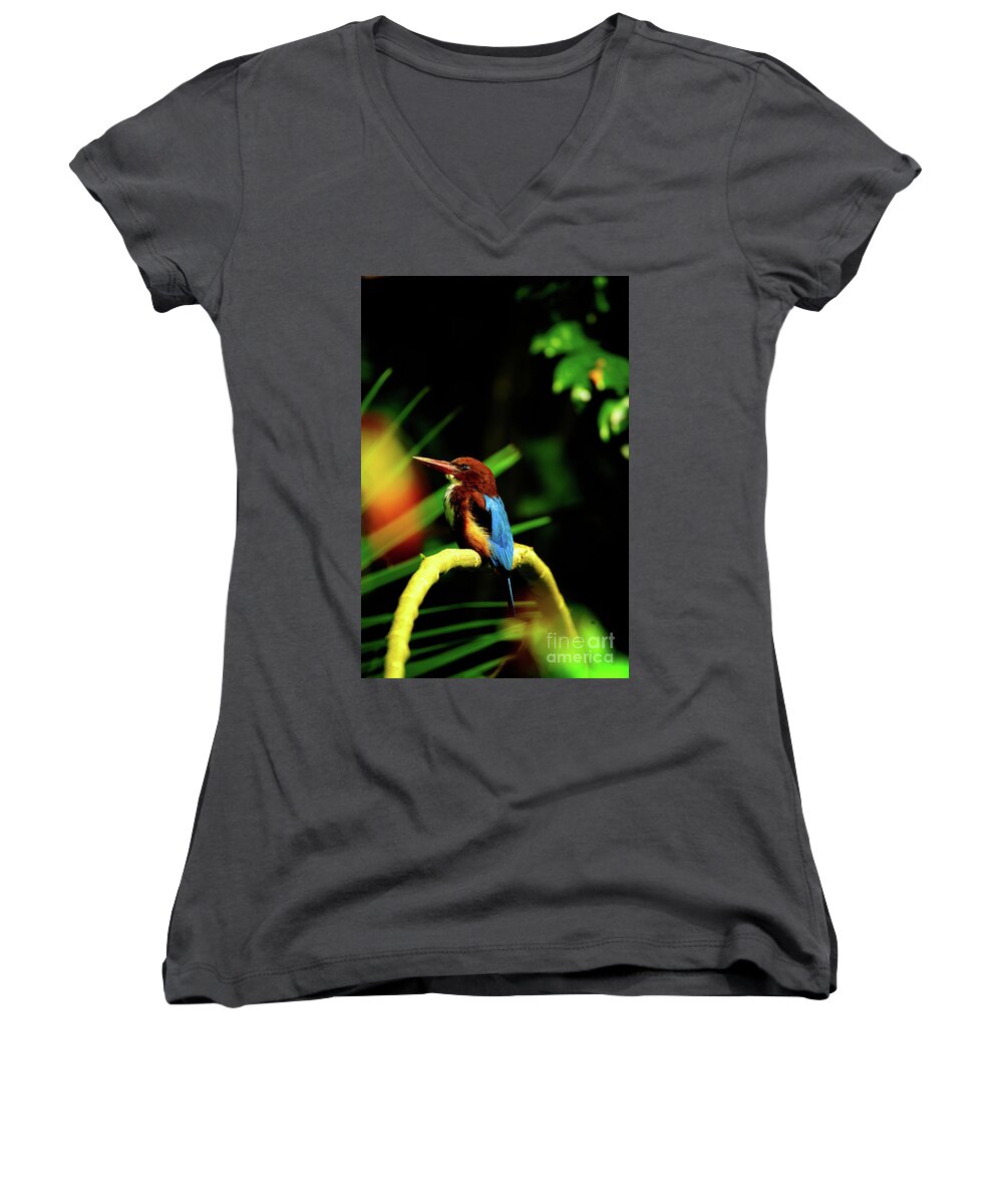 Bird Women's V-Neck featuring the photograph Patience by Venura Herath
