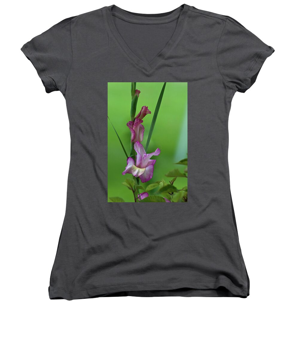 Bus Women's V-Neck featuring the photograph Pink Gladiolus by Ed Gleichman