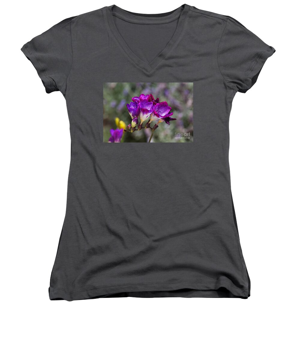 Freesia Women's V-Neck featuring the photograph Pink To Purple Freesias by Joy Watson