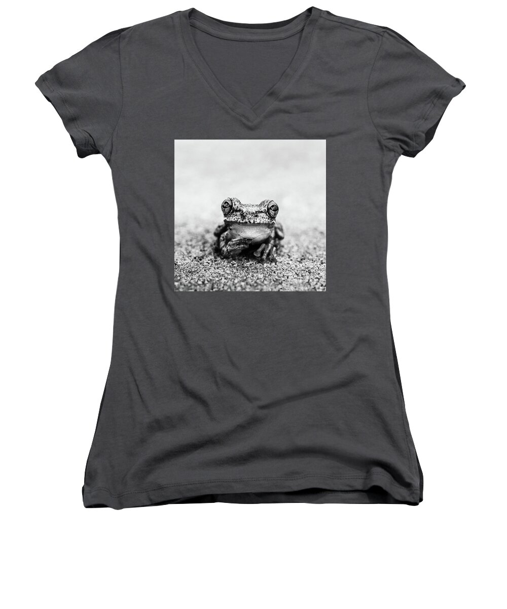 Animal Women's V-Neck featuring the photograph Pondering Frog Bw by Laura Fasulo