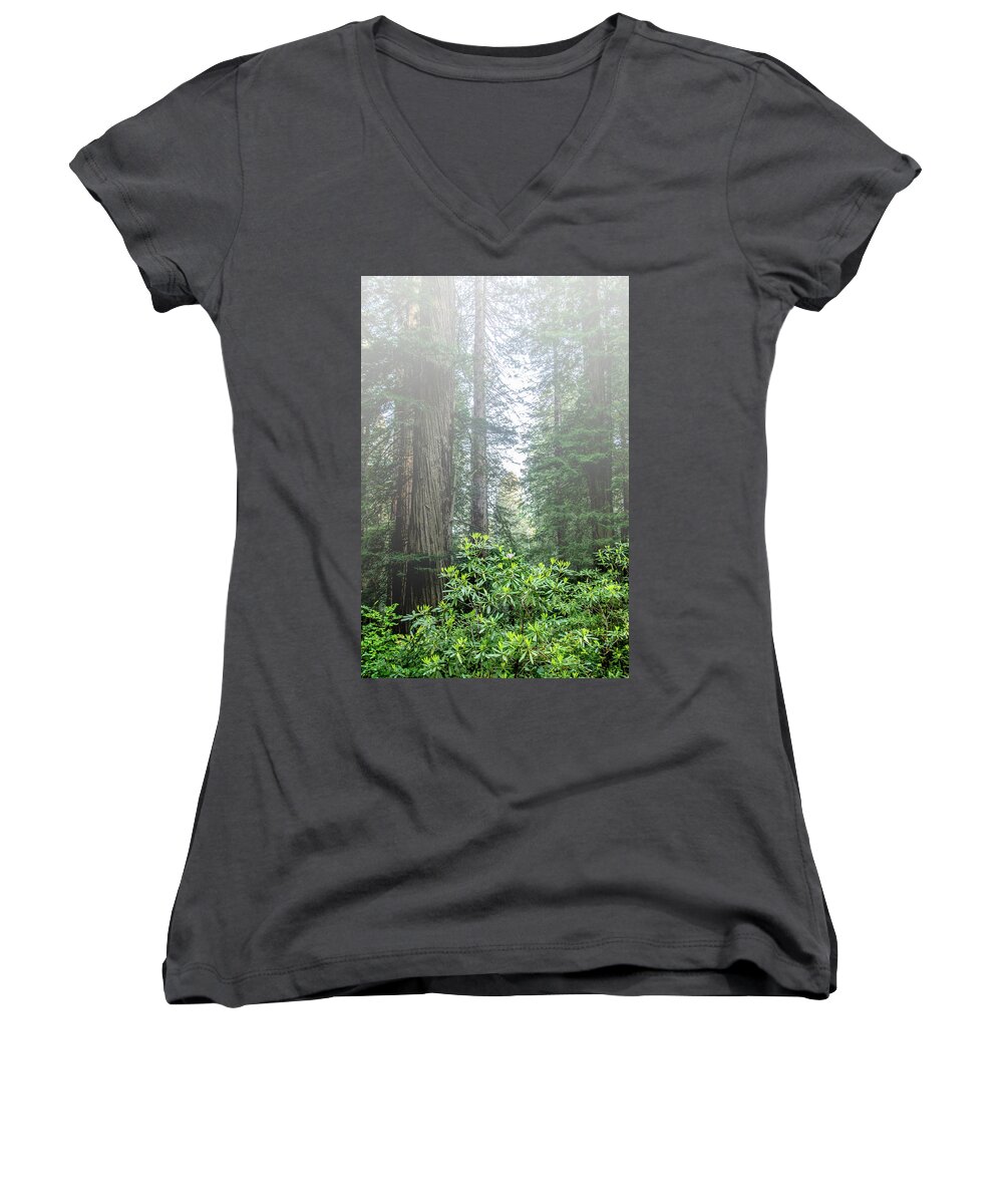 Redwoods Women's V-Neck featuring the photograph Rhododendrons in the fog by Harold Rau