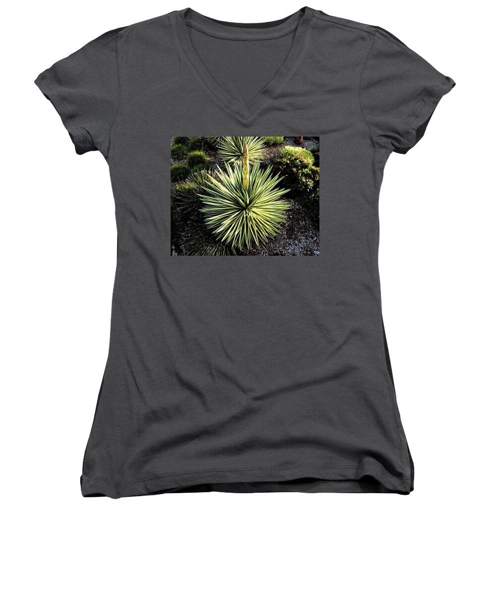 Plant Women's V-Neck featuring the photograph Round and Spikey by Andrew Lawrence