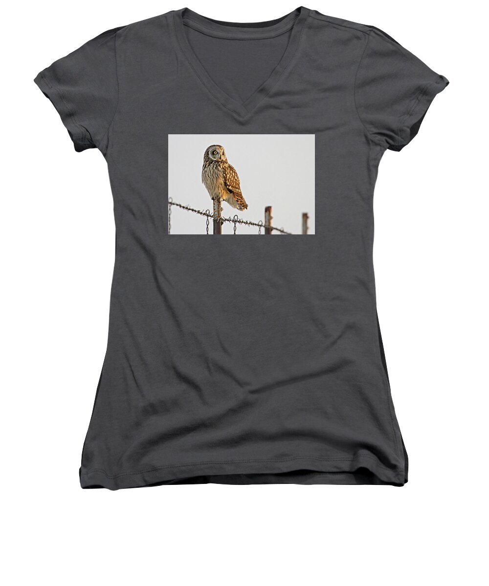Birds Women's V-Neck featuring the photograph Short-eared Owl by Wesley Aston