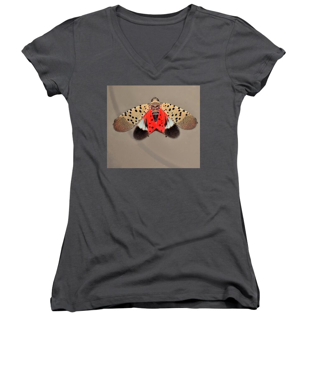 Spotted Women's V-Neck featuring the digital art Spotted Lantern Fly Swimming by Richard Ortolano