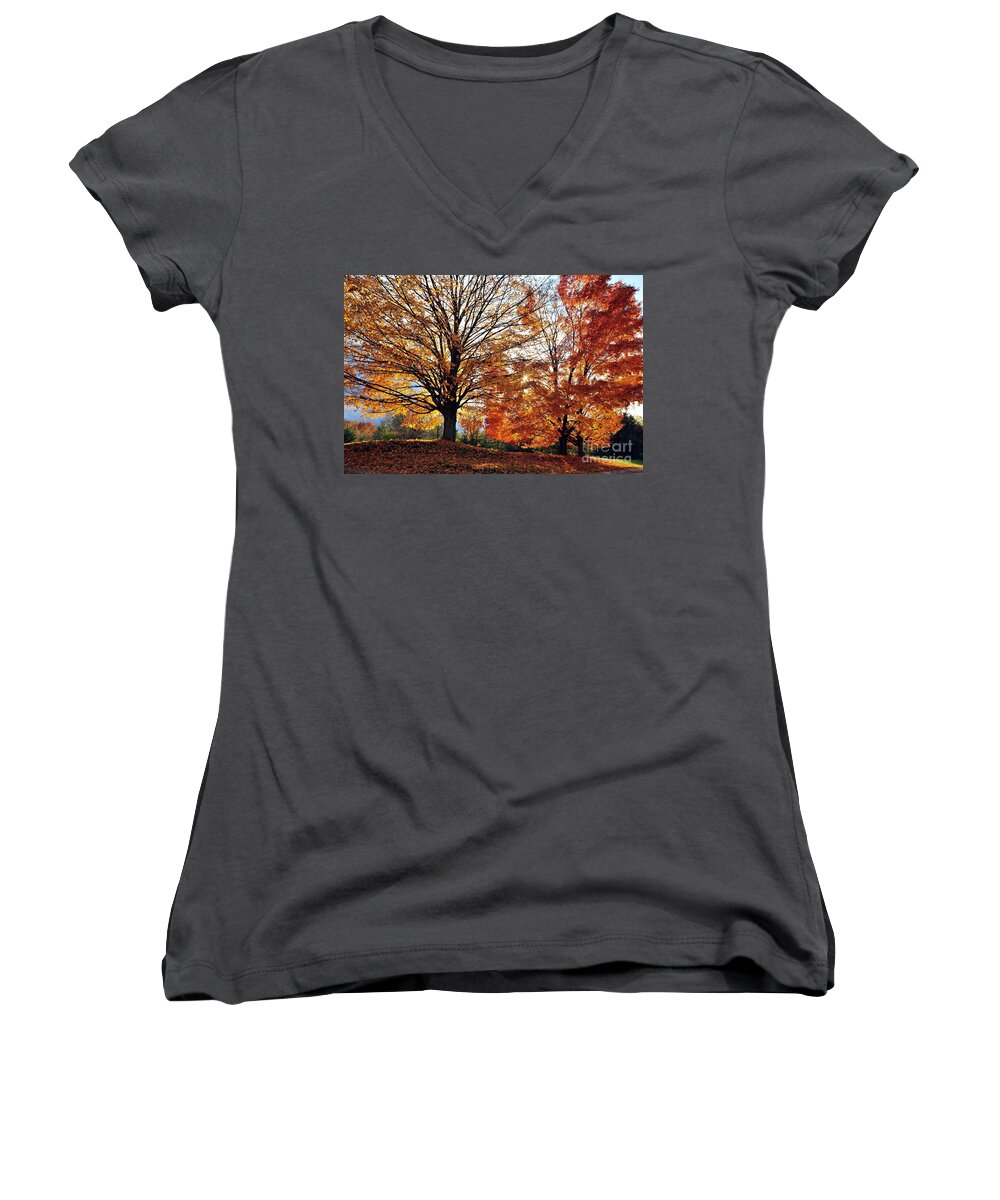 Orange Women's V-Neck featuring the photograph Spread Your Wings by Terri Gostola