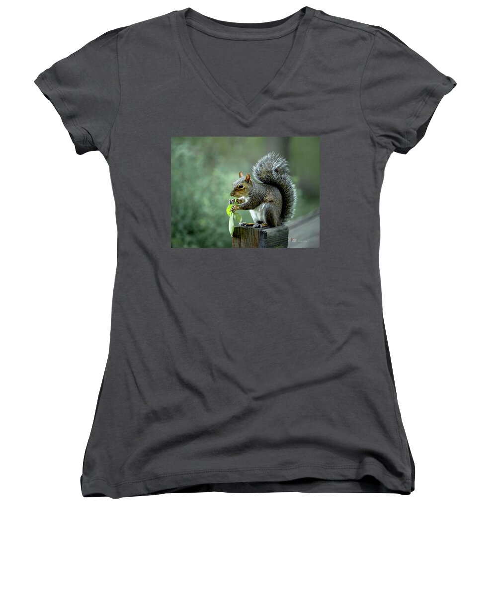 Squirrel Women's V-Neck featuring the photograph Squirrel Snacking by Paula Ponath