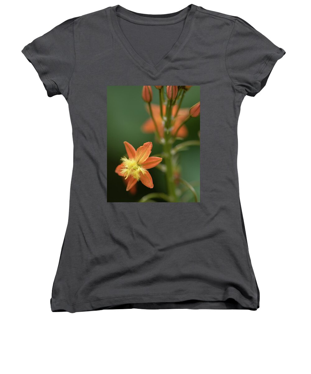 Macro Women's V-Neck featuring the photograph Star Light by Laura Macky