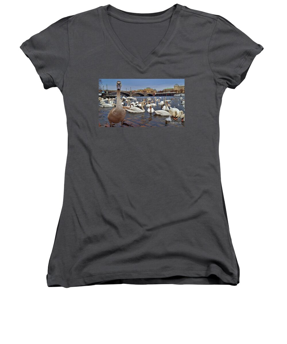 Swan Women's V-Neck featuring the photograph Swans on Vltava River in Prague by Amalia Suruceanu