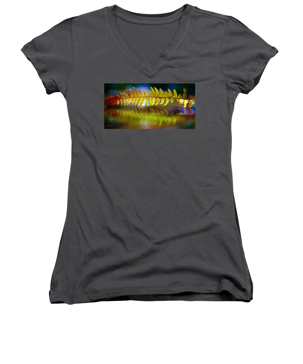 Boston Fern Women's V-Neck featuring the photograph The Fall Of Boston by Rene Crystal