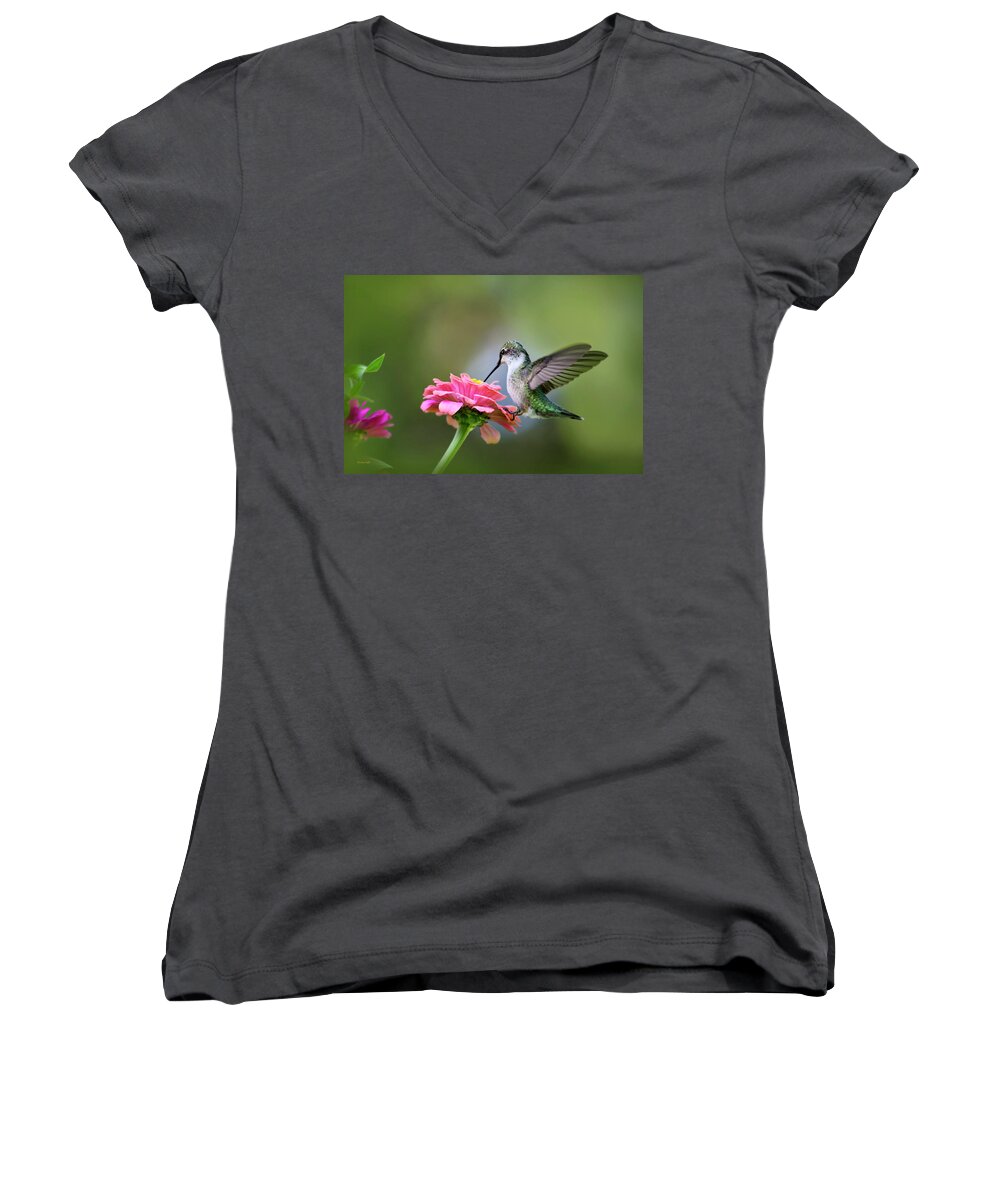Hummingbird Women's V-Neck featuring the photograph Tranquil Joy by Christina Rollo