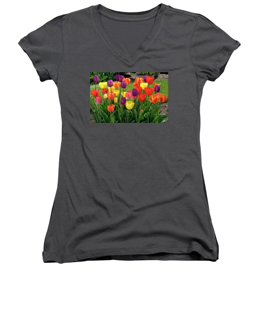 Fine Art Women's V-Neck featuring the photograph Tulips in Mt Vernon #2  by Greg Sigrist