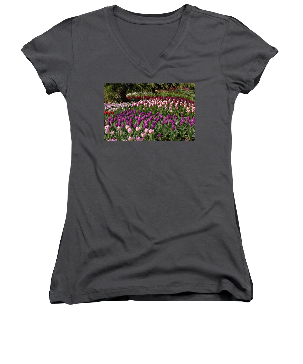 Fine Art Women's V-Neck featuring the photograph Tulips in Mt Vernon by Greg Sigrist