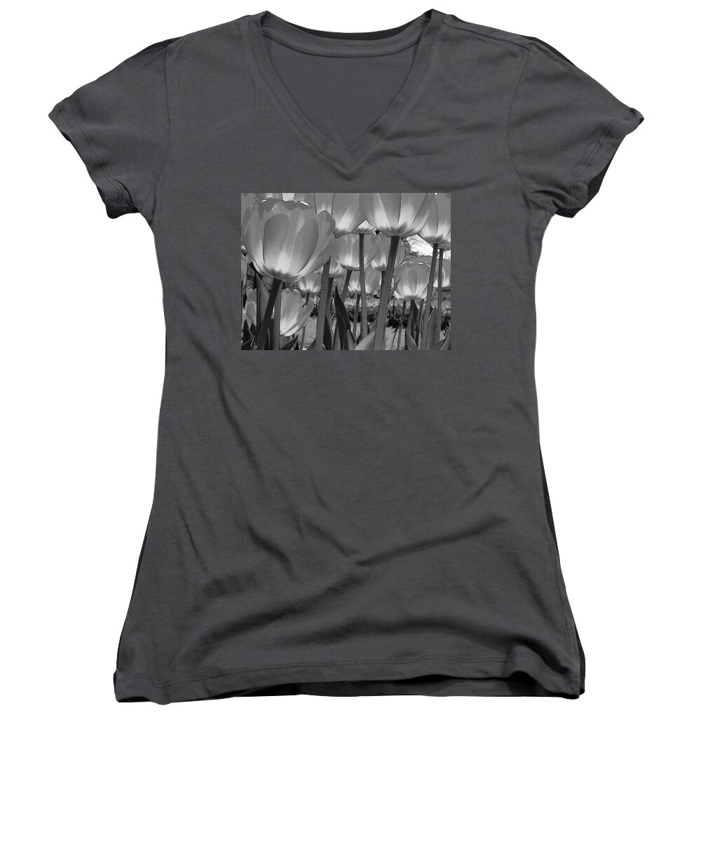 Flowers Women's V-Neck featuring the photograph Tulips by John Schneider