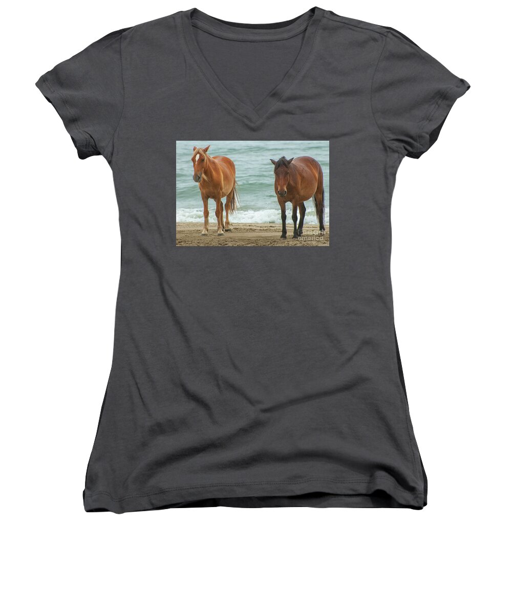 Horses Women's V-Neck featuring the photograph Walk on the Beach OBX by Edward Sobuta