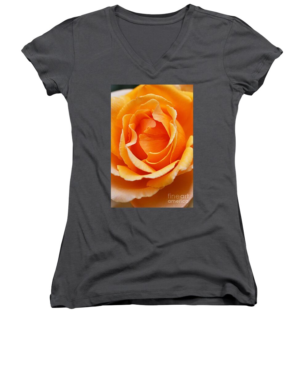 Orange Rose Women's V-Neck featuring the photograph Warm Orange Full Rose by Joy Watson