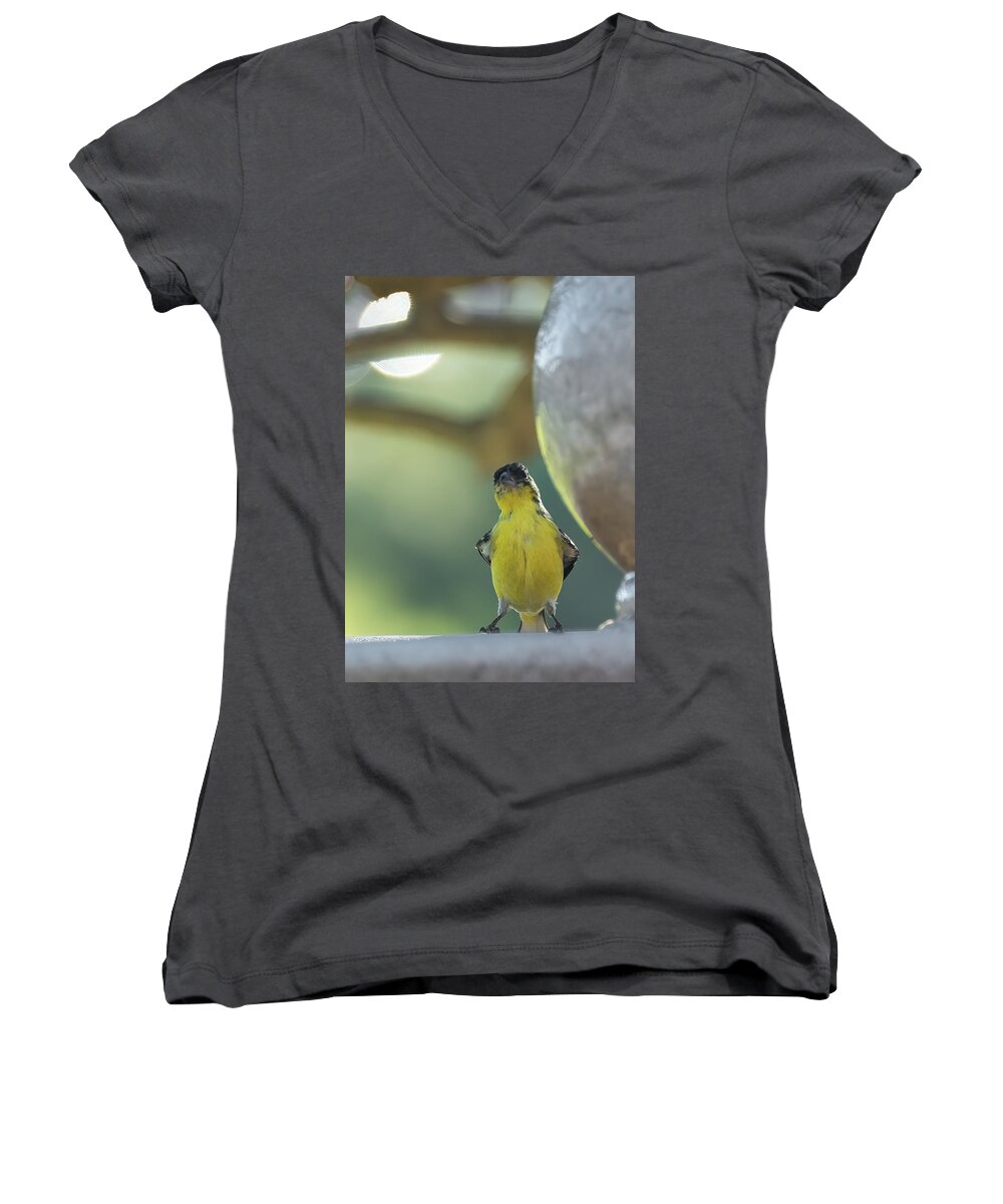 Yellow Women's V-Neck featuring the photograph Watcha Lookin At by Laura Macky