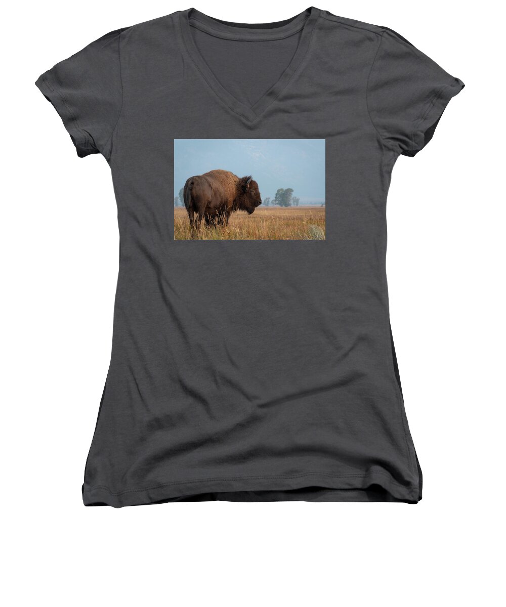 Buffalo Women's V-Neck featuring the photograph Watcher by Mary Hone